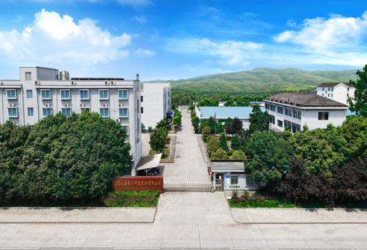 管家婆精准资料大全软件用法